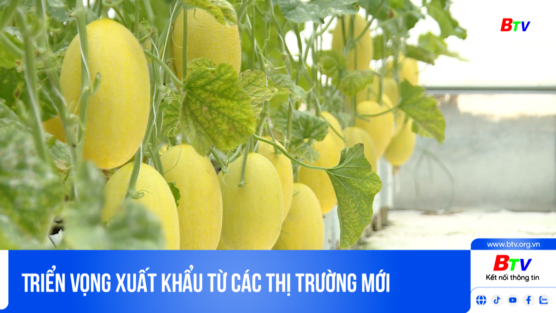 Triển vọng xuất khẩu từ các thị trường mới